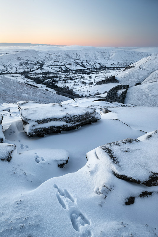 Hare today.... - Landscapes