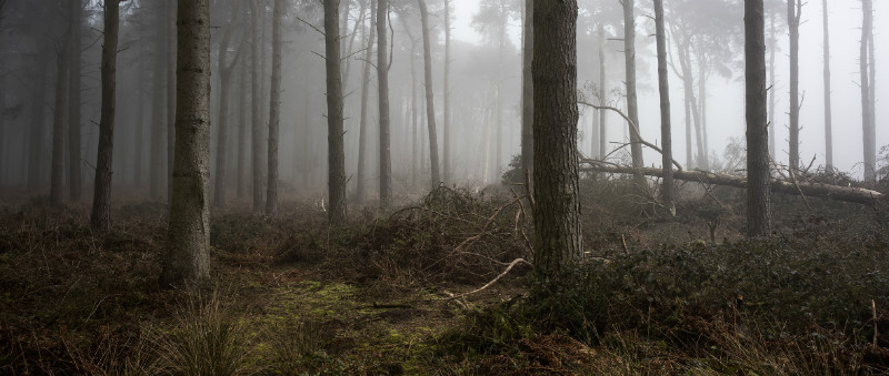  - Landscapes