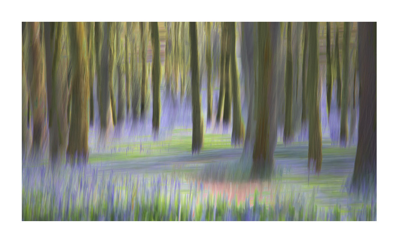  - Blurred Vision