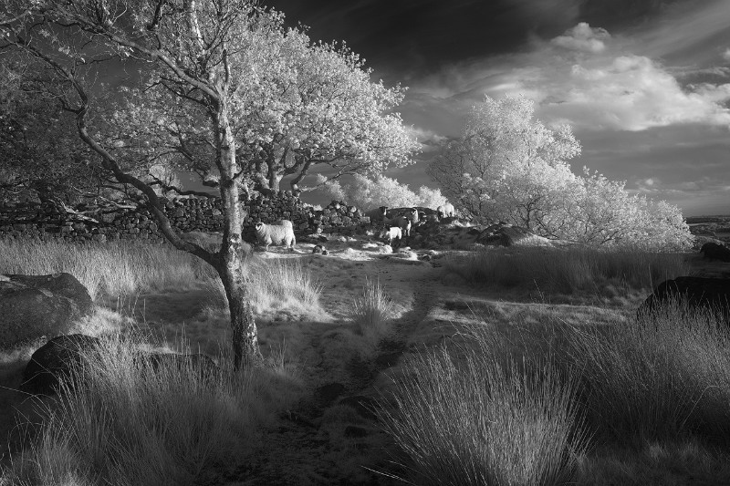 The Crossing point - Black & White