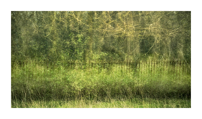 Fenced - Blurred Vision