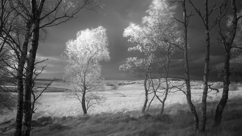 The Big Screen - Black & White