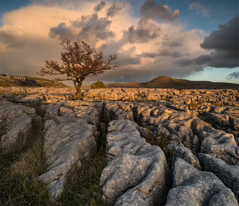 The Dales - Landscapes