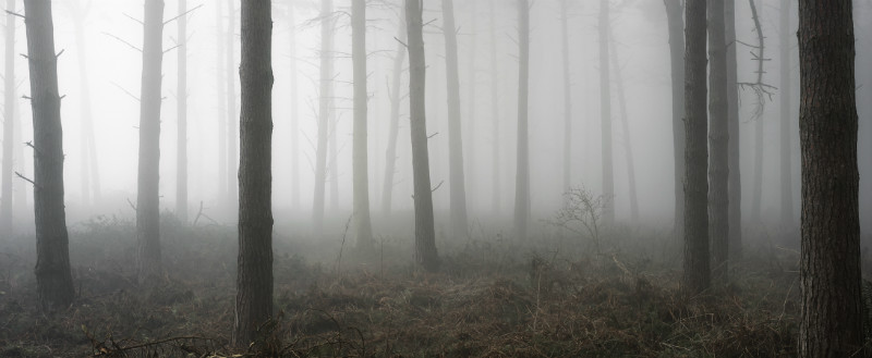  - Landscapes