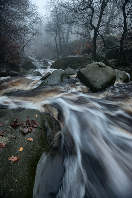 Padley Gorge - Landscapes