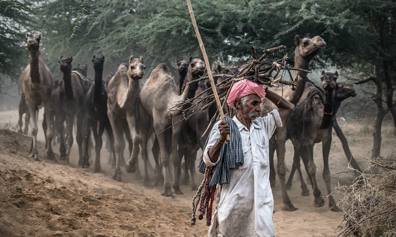 The Drover - Travel