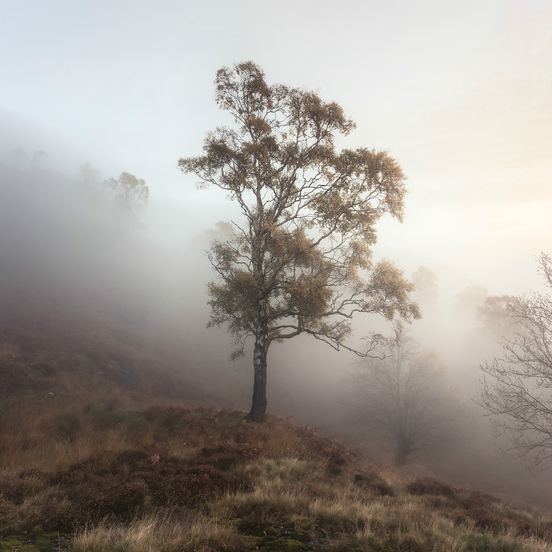  - Landscapes