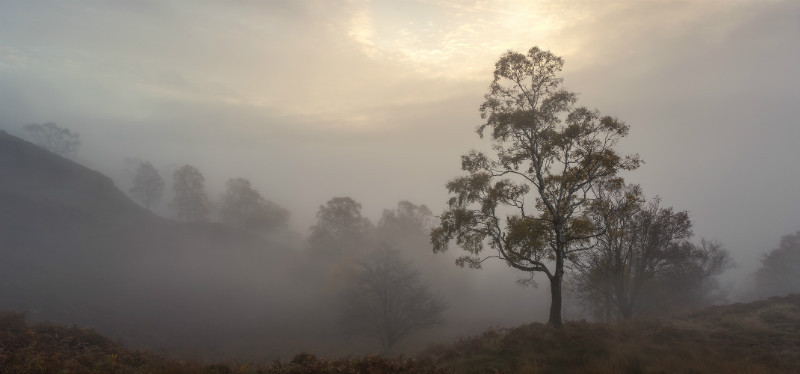  - Landscapes