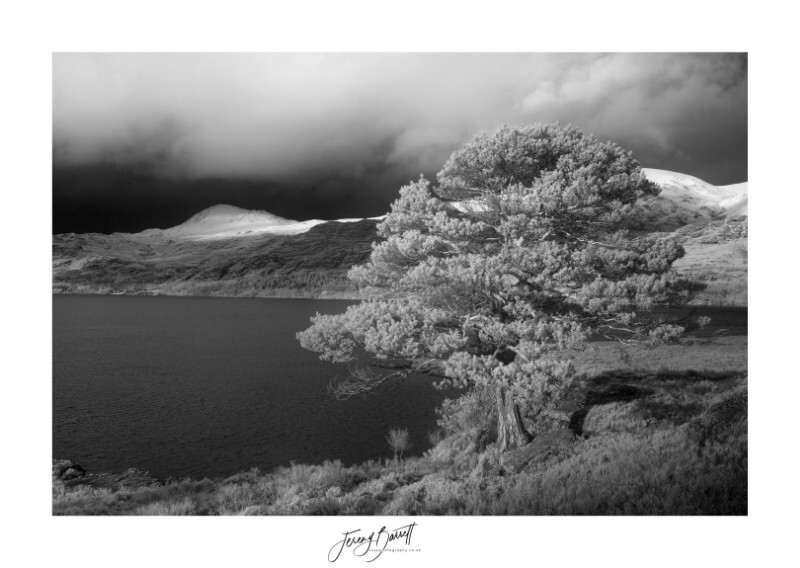 By the Loch - Latest Images