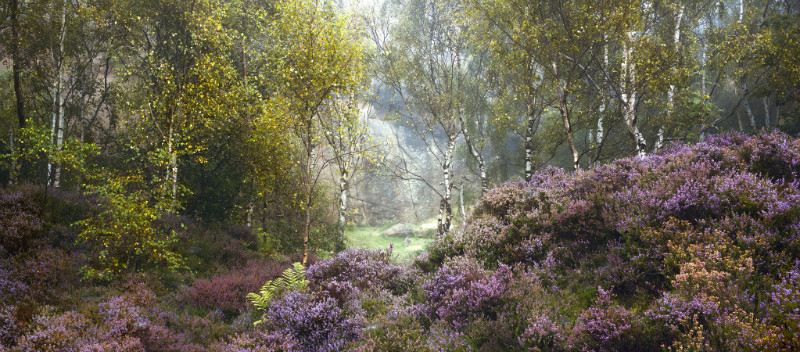  - Landscapes