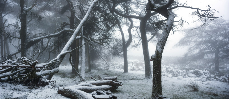  - Latest Images