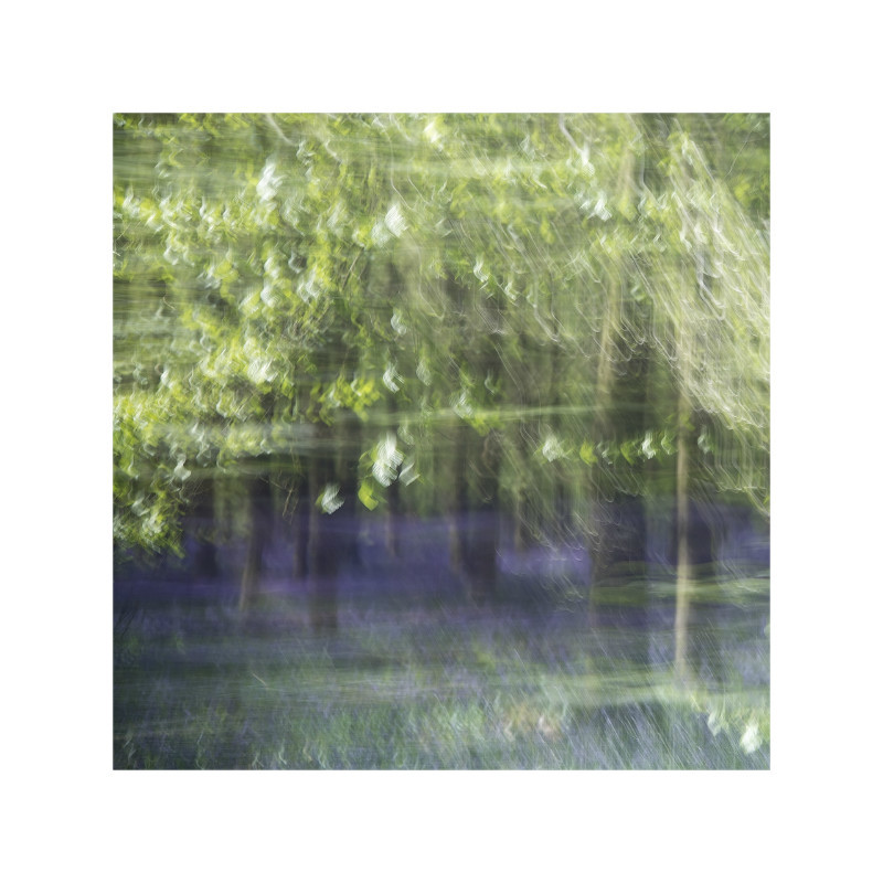 Blurbell - Blurred Vision