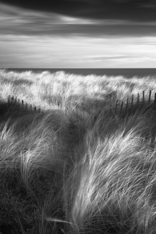 Journey - Black & White