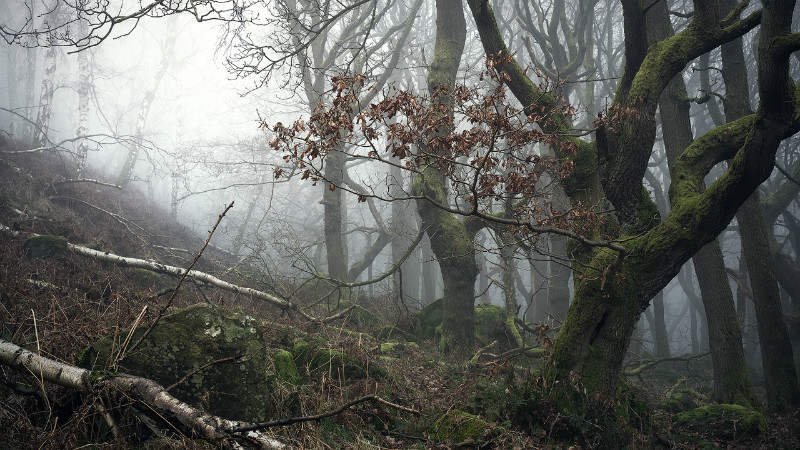 The Clash - Padley Gorge / Bolehill Quarry