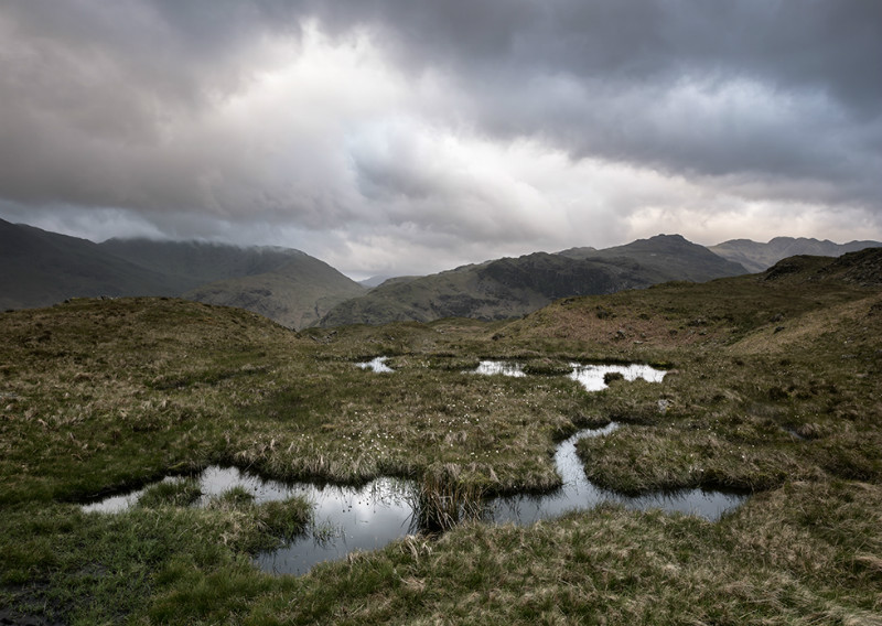 Lingmoor - Landscapes