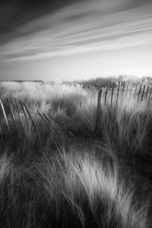 Quest - Black & White