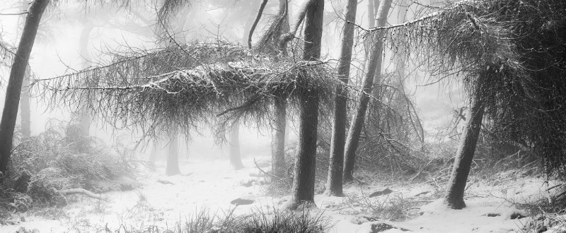  - Landscapes