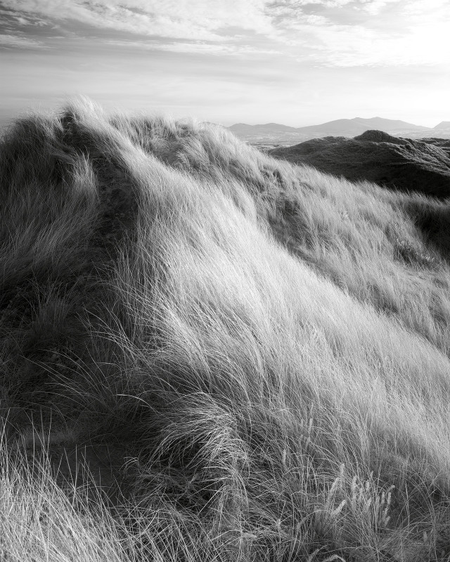 The Dune road - Black & White