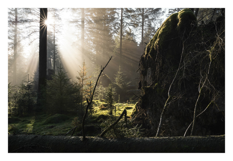 Rise & Fall - Landscapes