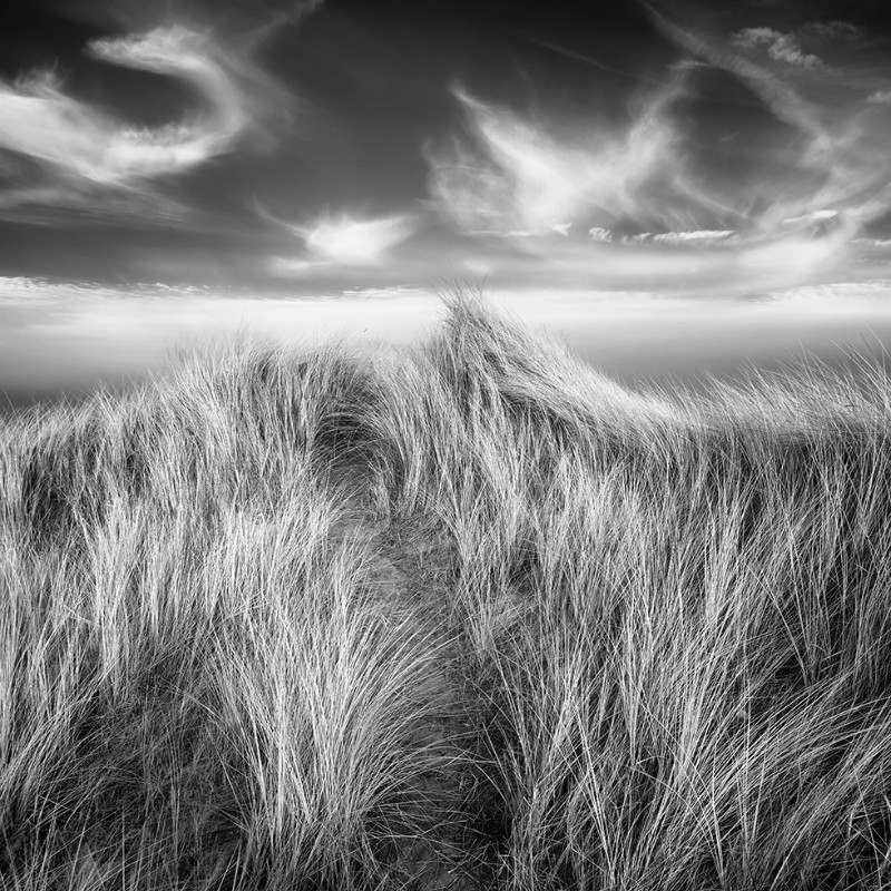 Dune - Black & White