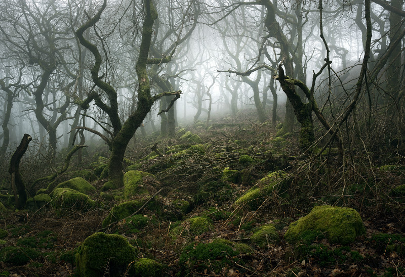 Padley's depths - Padley Gorge / Bolehill Quarry