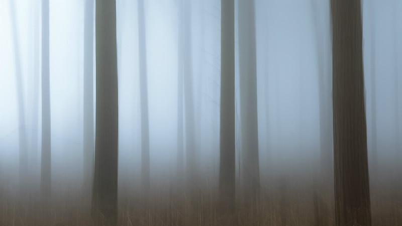  - Blurred Vision