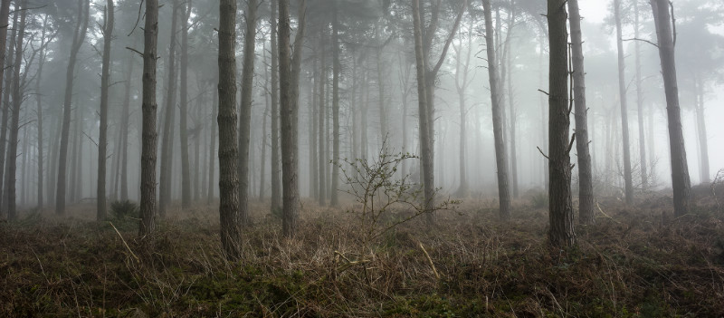  - Landscapes