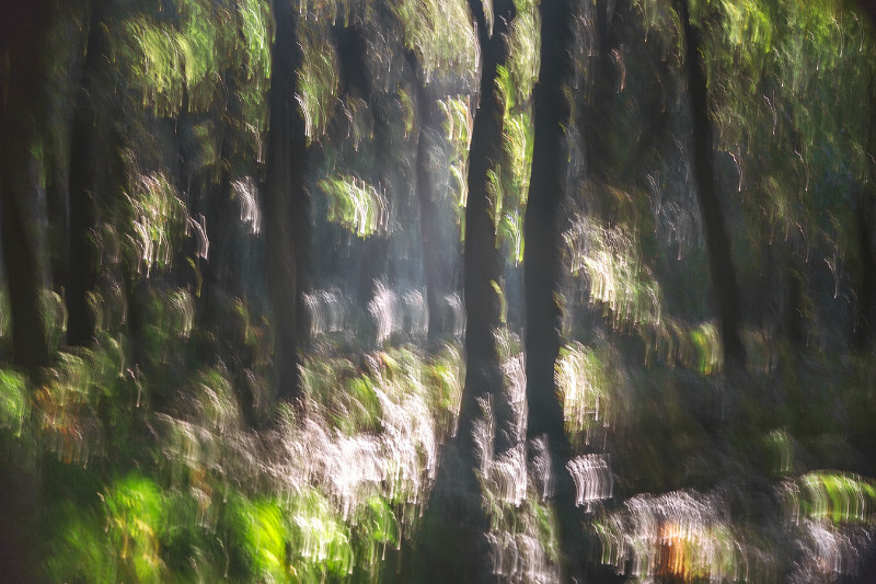  - Blurred Vision