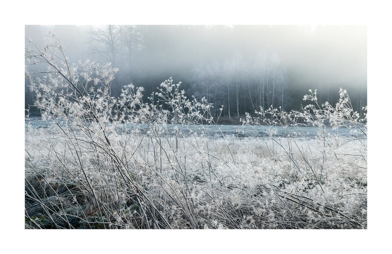 The Thaw - Latest Images