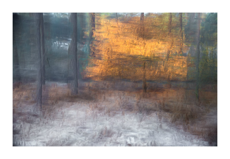  - Blurred Vision