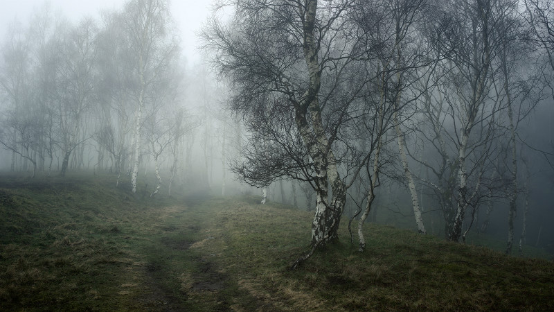 Silver - Padley Gorge / Bolehill Quarry