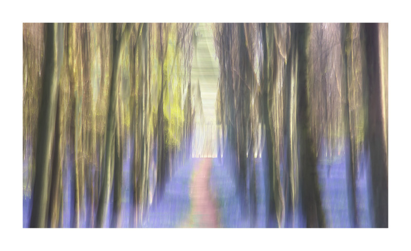  - Blurred Vision
