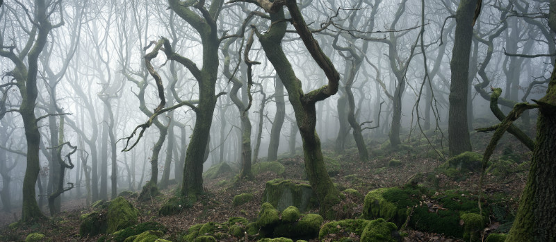 The Gorge - Padley Gorge / Bolehill Quarry