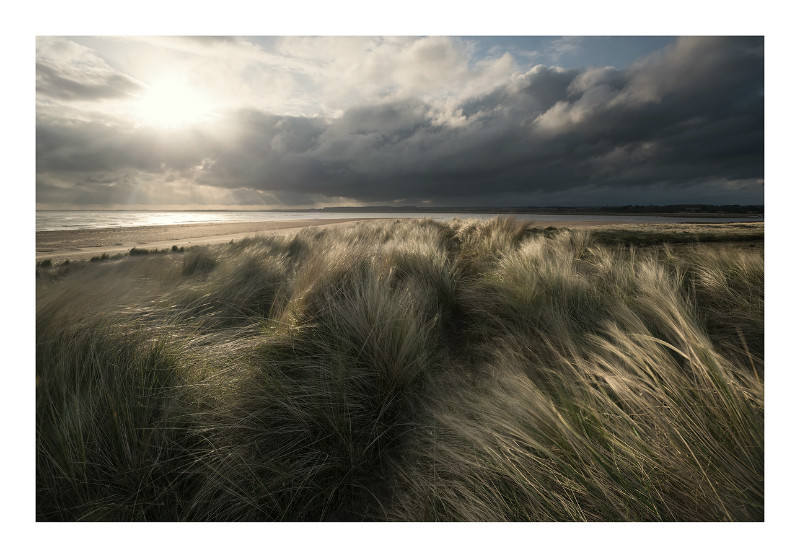 holme dunes national nature reserve