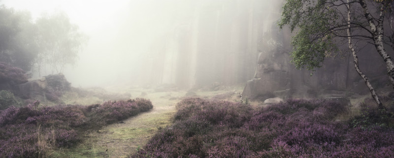  - Landscapes