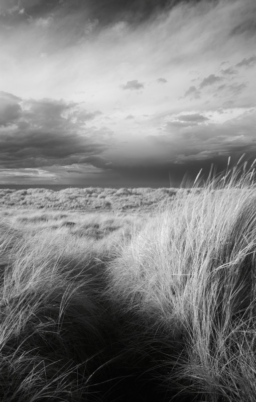  - Black & White