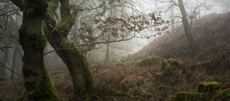 The Librarians - Padley Gorge / Bolehill Quarry