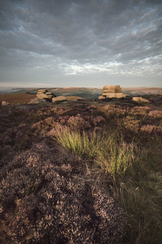 Heatherly - Latest Images