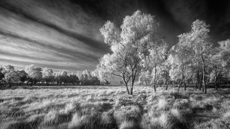 Beaming - Black & White