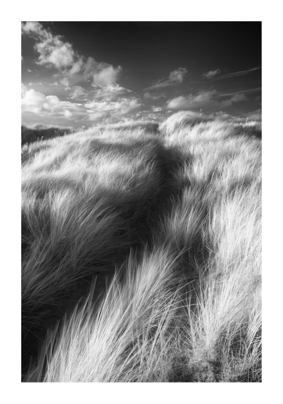  - Black & White