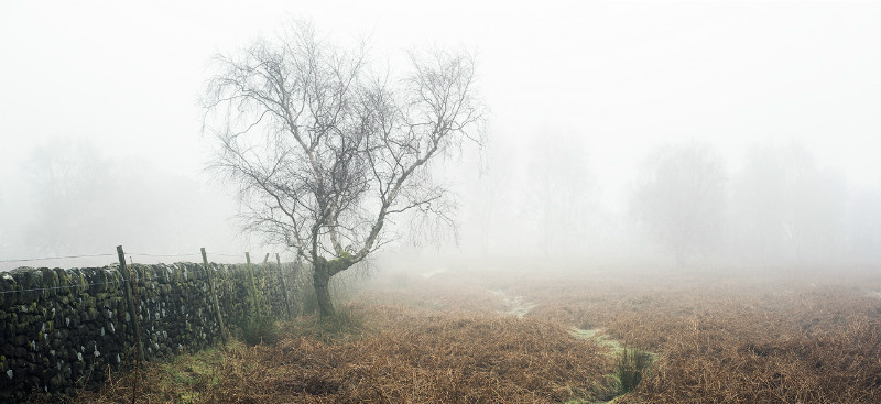The Field - Landscapes
