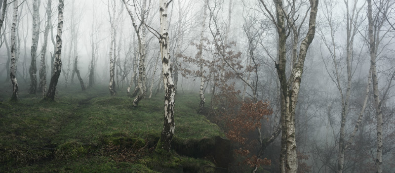 The Levels - Padley Gorge / Bolehill Quarry