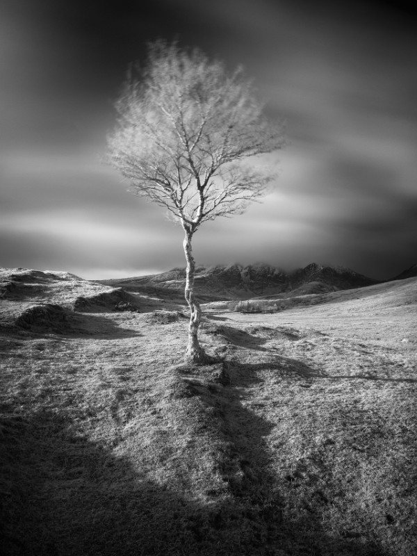 Swaying - Latest Images