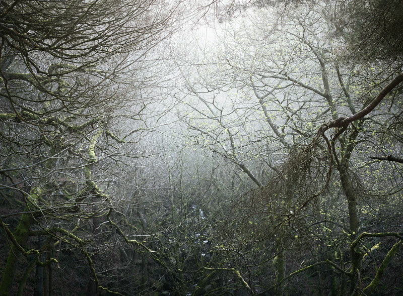  - Padley Gorge / Bolehill Quarry