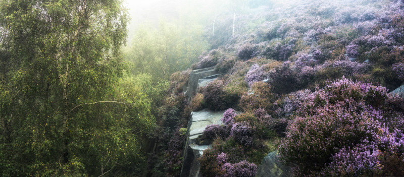  - Landscapes