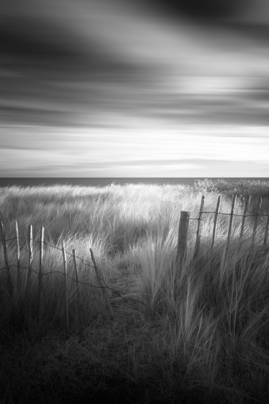 Always - Black & White