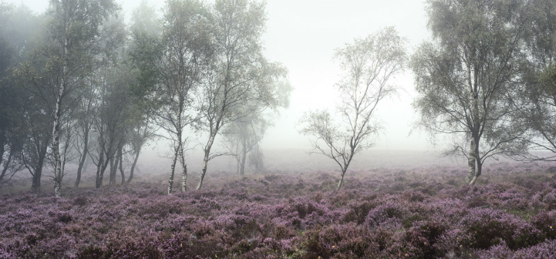  - Landscapes