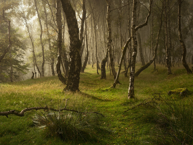 Shapes - Landscapes