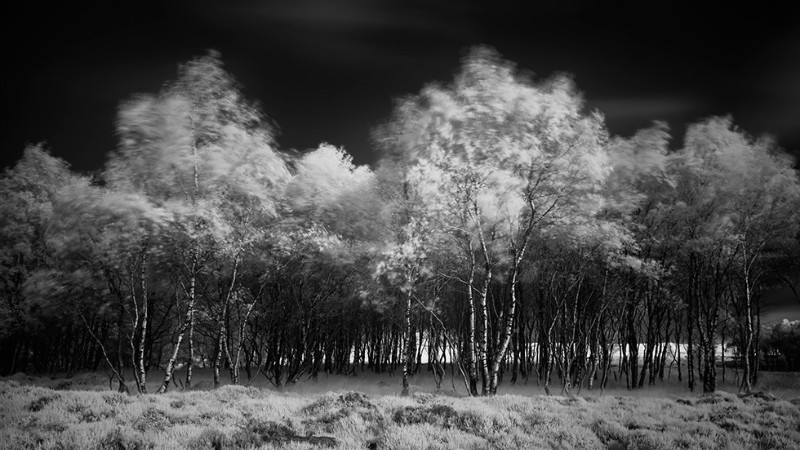 Du Vent - Black & White