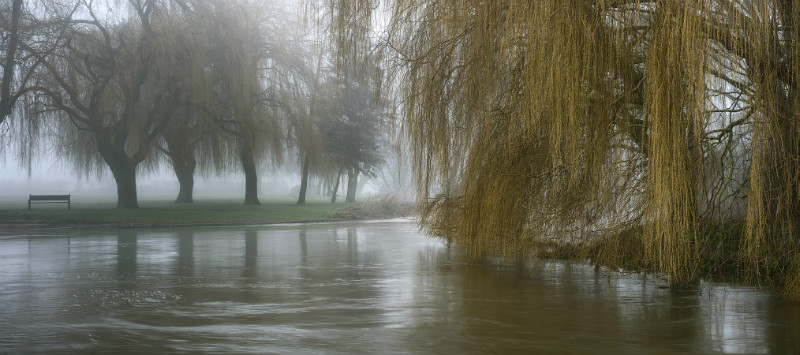 Willowing - Latest Images